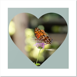 Butterfly love Posters and Art